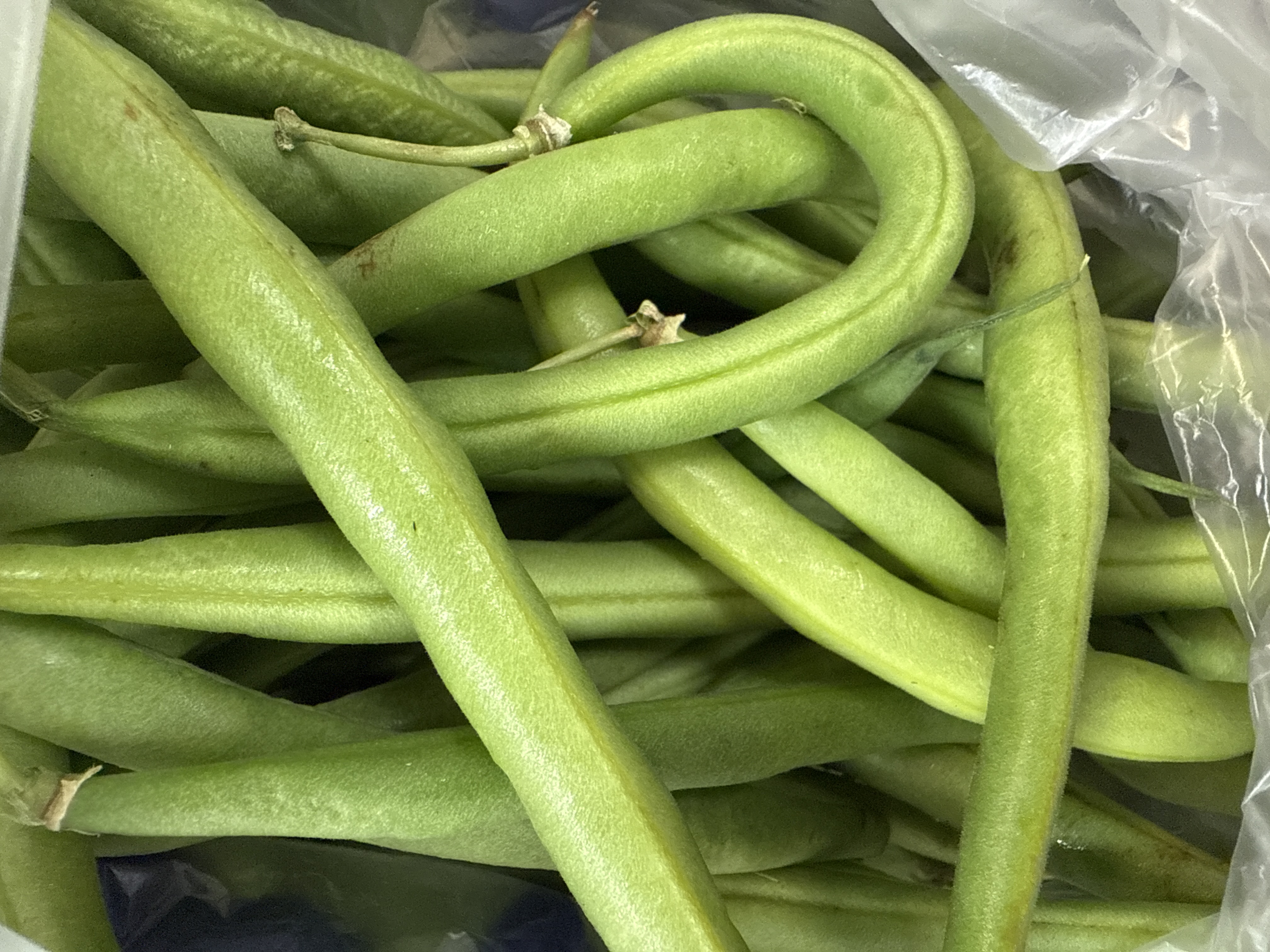 Green bean(1pound)